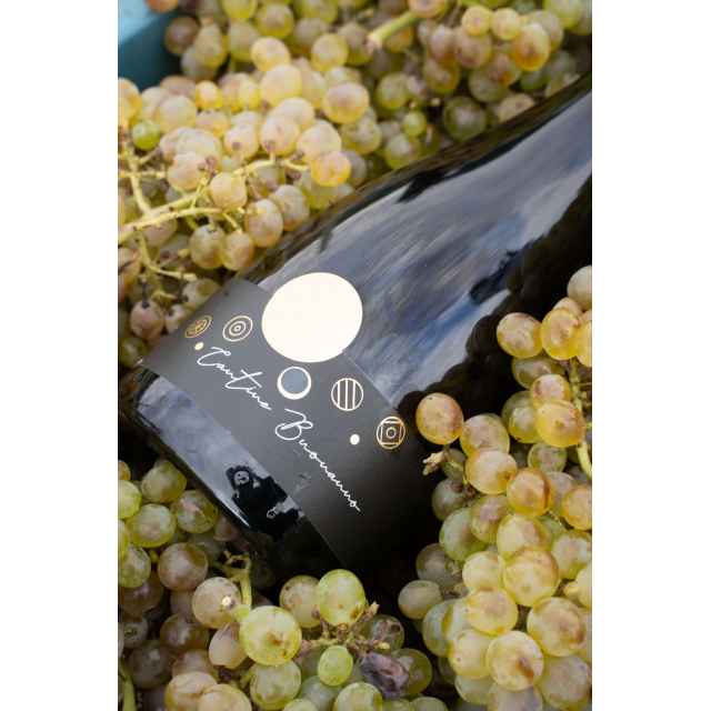 vin petillant extra sec methode charmant vin petillant extra sec methode charmant